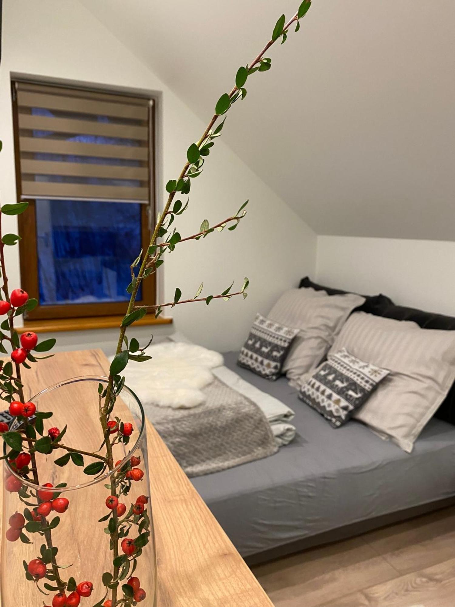 Apartmán Malinowa Dolina Visla Exteriér fotografie
